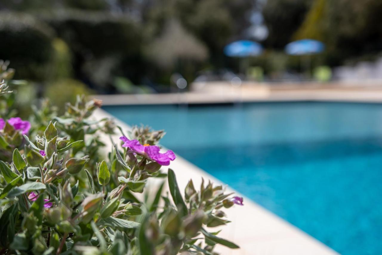 Les Arbousiers Village Hotel Provencal La Roquebrussanne المظهر الخارجي الصورة